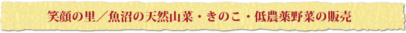 豊かな自然で育った魚沼の山菜直送