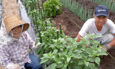 かぐらなんばん