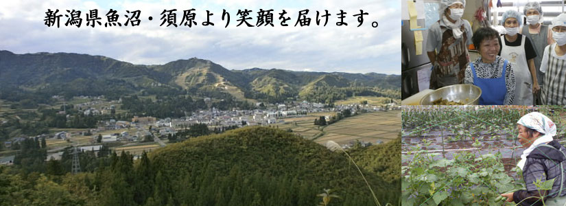 魚沼市NPO法人笑顔の里より美味しさをお届けします。
