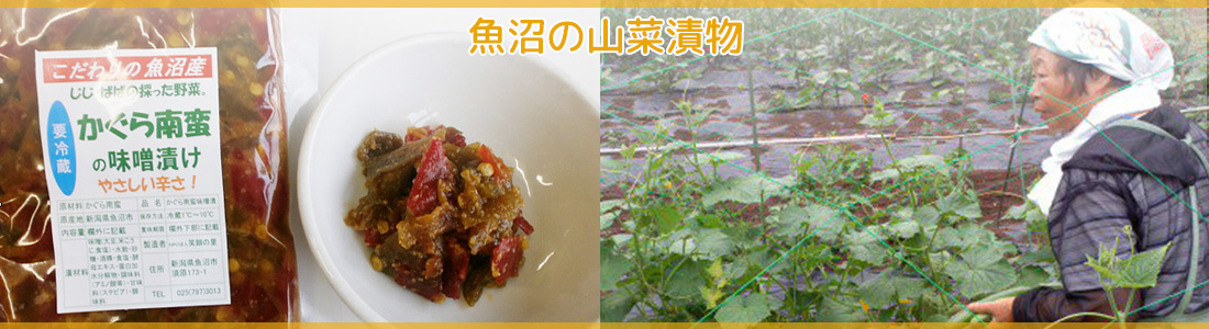 魚沼山菜の味噌漬け