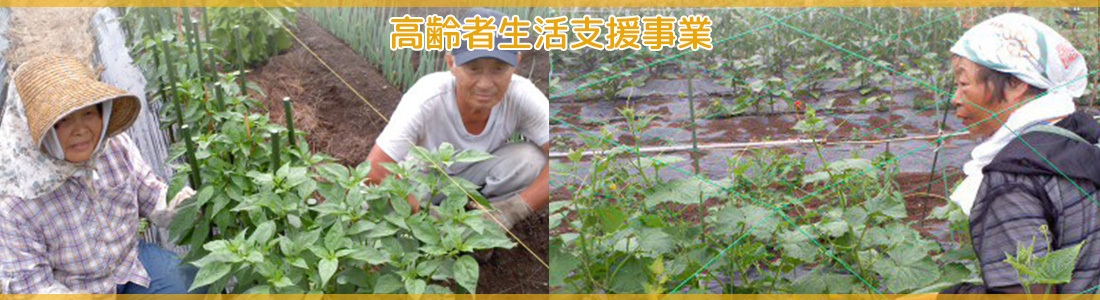 高齢者生活支援事業